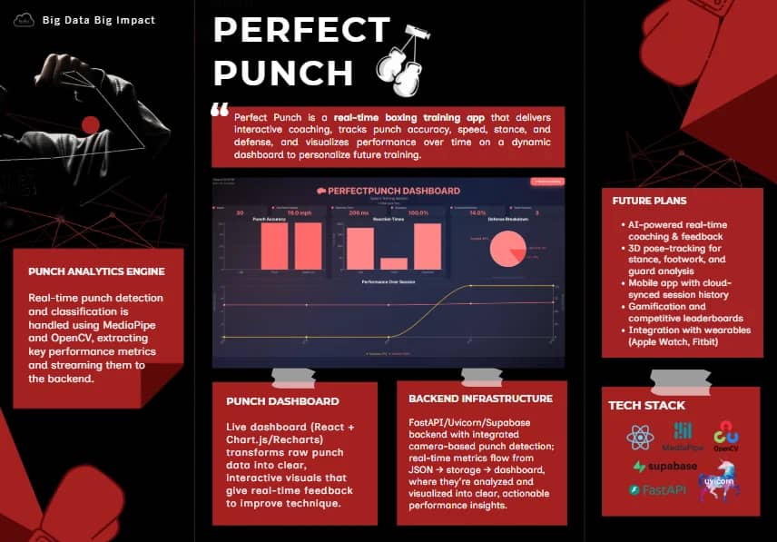 Perfect Punch Screenshot 1